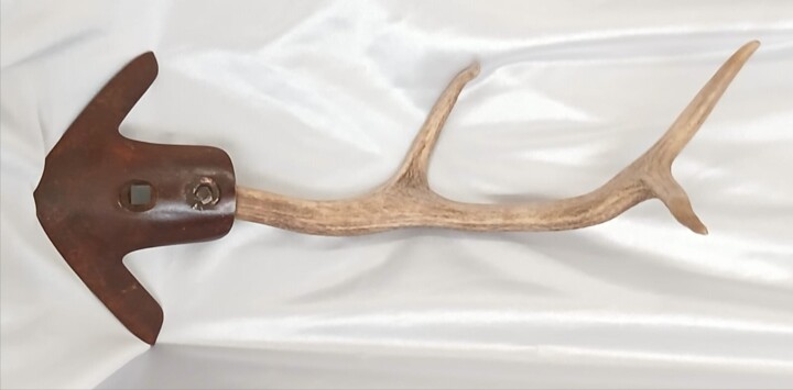 FÓSIL TIBURÓN Escultura, 18,5x9,1 in