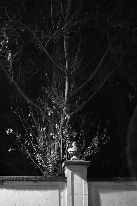 street composition VII 摄影
