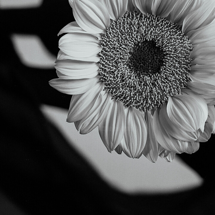 Details
