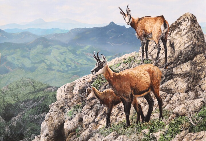 Malerei mit dem Titel "Izard des Pyrénées" von Julian Wheat, Original-Kunstwerk, Acryl