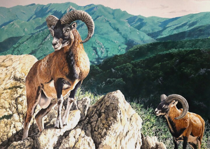 Malerei mit dem Titel "Mouflon des Pyrénées" von Julian Wheat, Original-Kunstwerk, Acryl