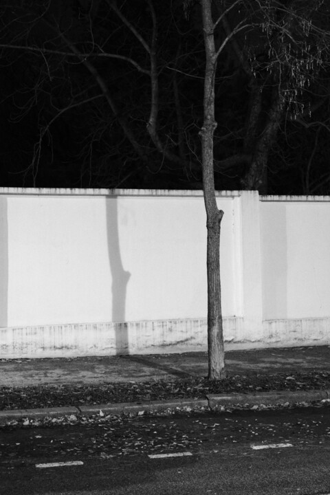 street composition VIII 摄影