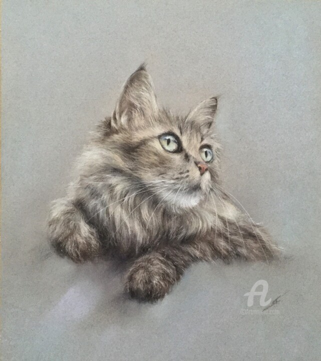 Resim,  11x9,8 in 