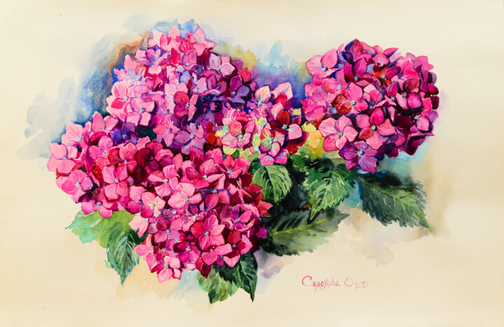 图画 标题为“Red hydrangea. Larg…” 由Simanolya, 原创艺术品, 水彩 安装在纸板上