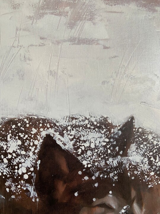 Additional views 6