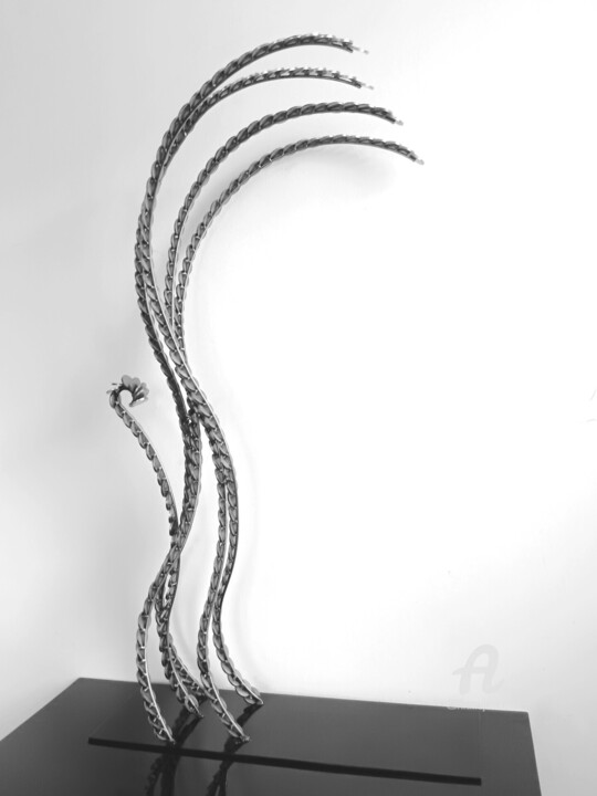 其他意见 6