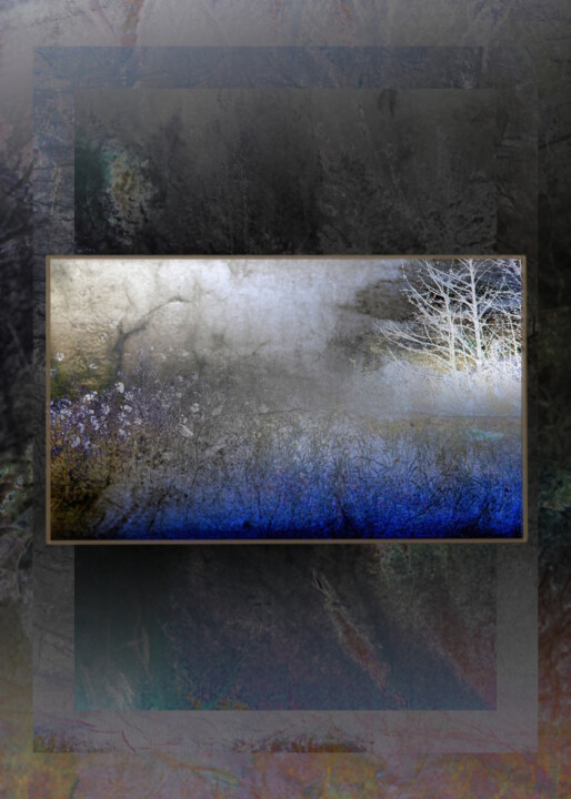Photographie intitulée "Terre 8" par Dominique Comolet, Œuvre d'art originale, Photographie numérique Monté sur Aluminium