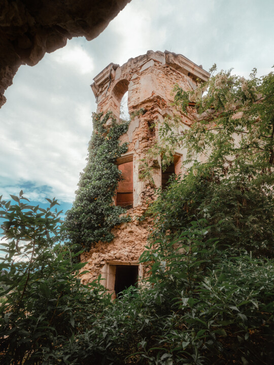 Château végétal 2 Fotoğraf