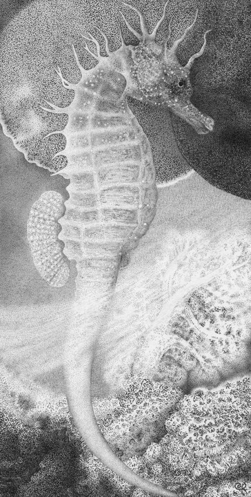 Hippocampe 图画, 8.1x4.1 in