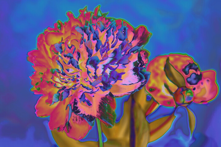 Flowerissimo_15471 Fotografie