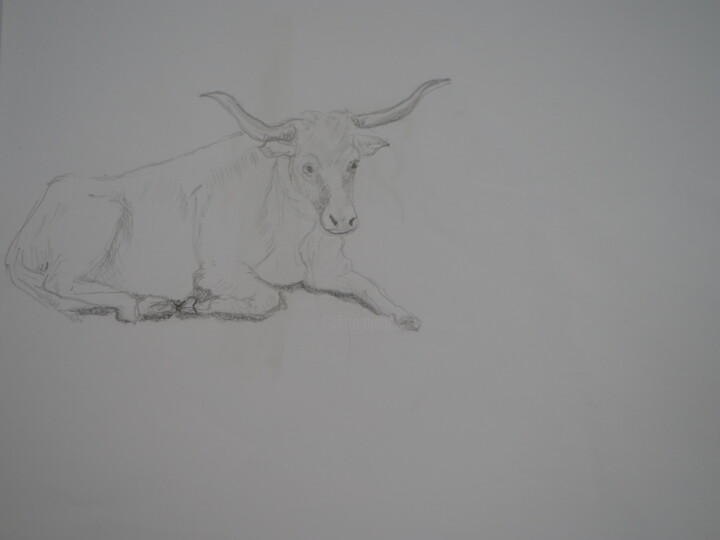 dessin de boeuf 图画, 8.3x11.7 in