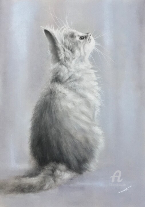 Morning 图画, 13.8x9.8 in