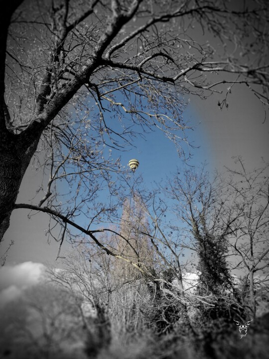 Photography titled "Silence d'un voyage" by Dominique Guillaume, Original Artwork, Manipulated Photography
