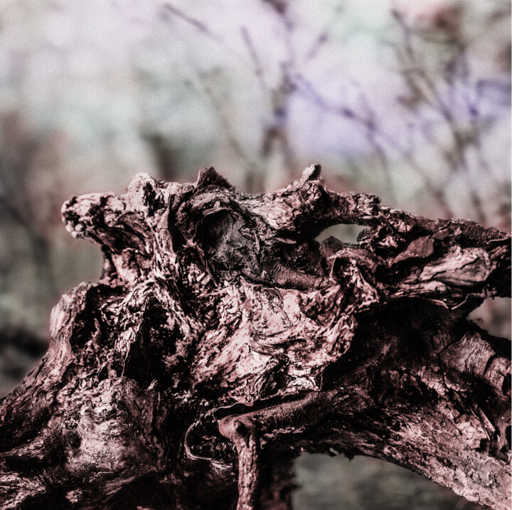 Mimetic Roots Recovered Fotografia, 35x35 in