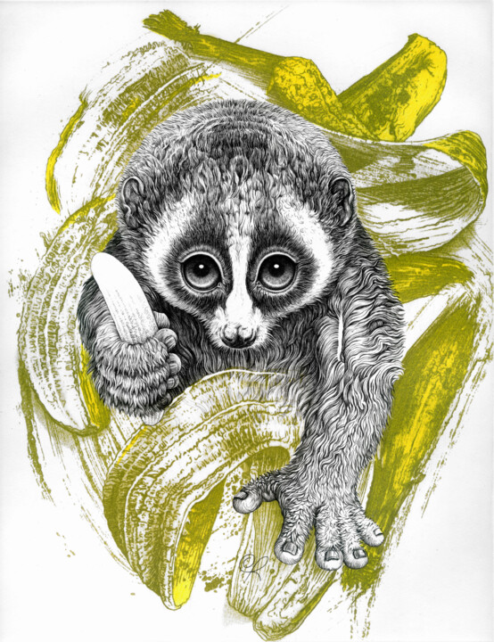 Loris 印花与版画, 16.1x13 in