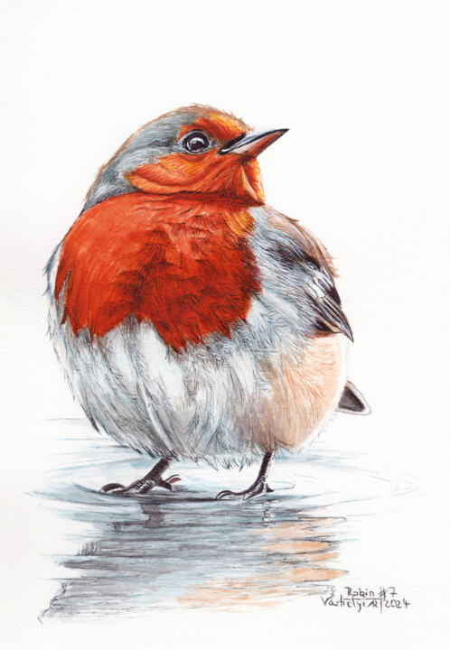 Robin #7 Drawing, 10.2x7.1 in