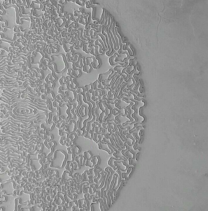 Details