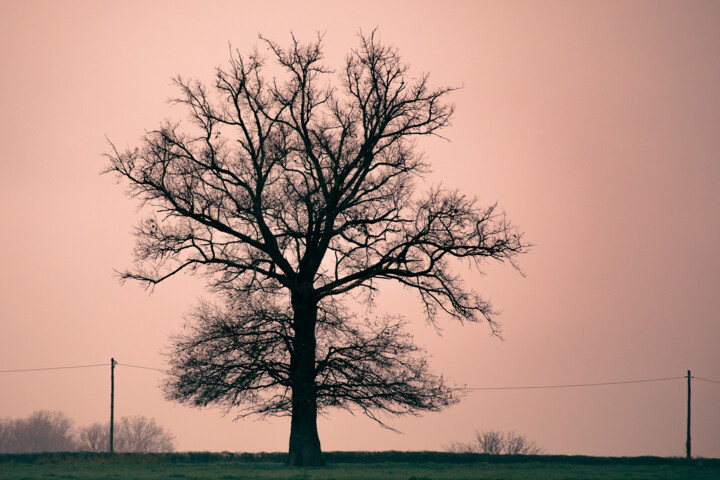 Le wifi passe mal ici Photography