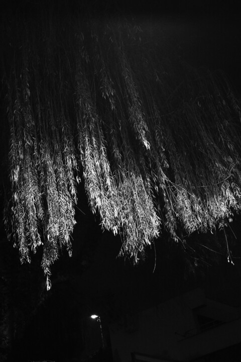 street composition XXXVI 摄影