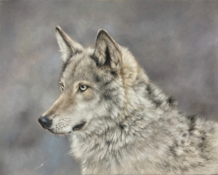 Forest guard 图画, 10.6x13.4 in