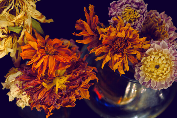 Flowerissimo_18200 摄影