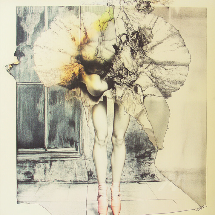 The Blooming Ballerina Danse Macabre 数字艺术, 16x16 in