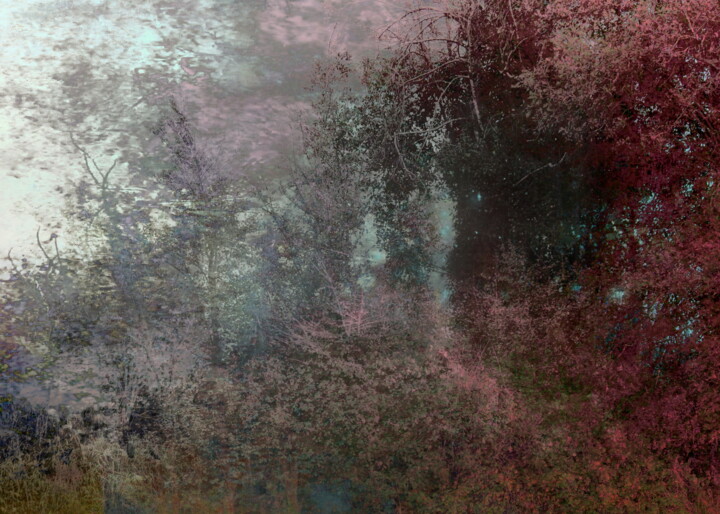 Photographie intitulée "Terre 9" par Dominique Comolet, Œuvre d'art originale, Photo montage Monté sur Aluminium
