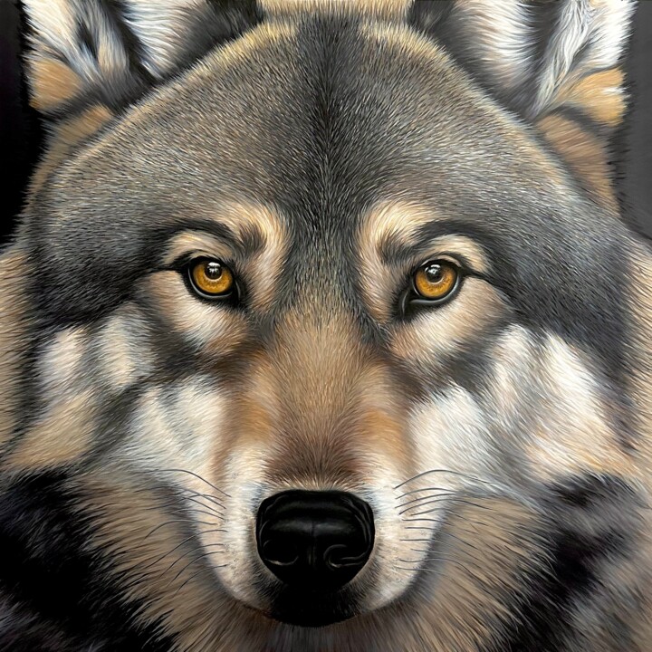 Loup Altan 绘画, 47.2x47.2 in