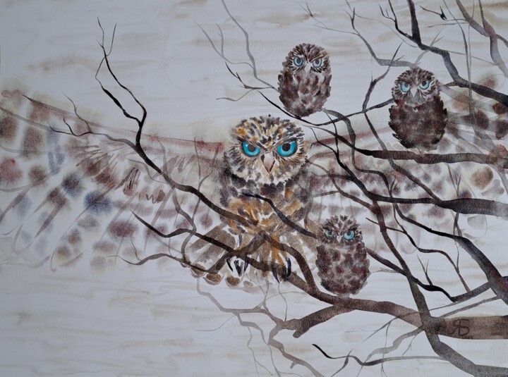 Flying Owl Peinture, 17,3x23,6 in