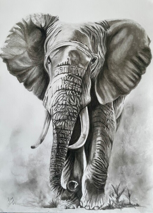 Fusain 图画, 23.6x15.8 in