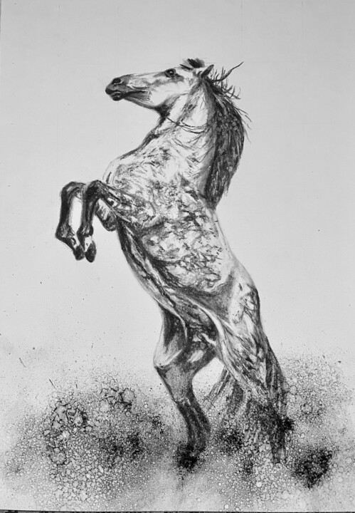 Andalou Tekening, 15,8x11,8 in