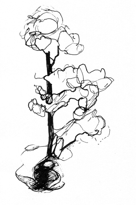 Desenho intitulada "Pin Sylvestre 2" por Laurence Médori, Obras de arte originais, Tinta Montado em artwork_cat.
