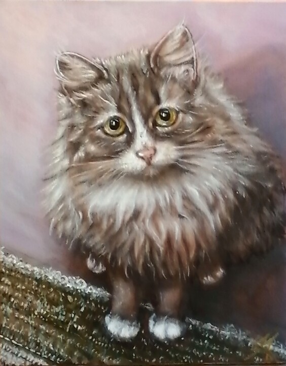 ,The rescued cat Sonya,, 绘画, 19.7x15.8 in