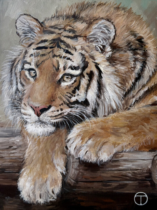 Tiger 5 绘画, 9.5x7.1 in