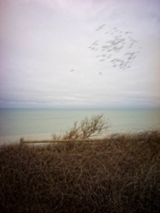 L'essaim 摄影, 55.1x29.5 in