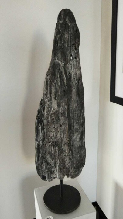 Sculpture titled "Пожары в реликтовых…" by Marina Hrebtova, Original Artwork, Wood
