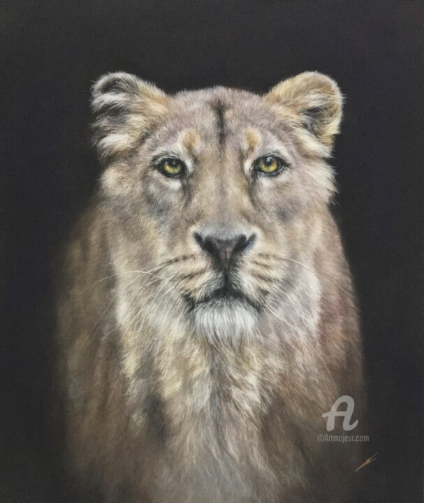 Resim,  12,6x10,6 in 