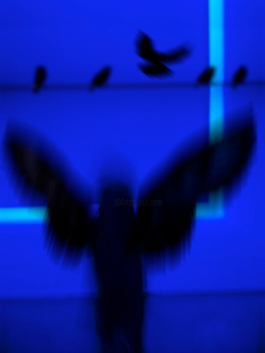 Wings 摄影, 31.5x23.6 in