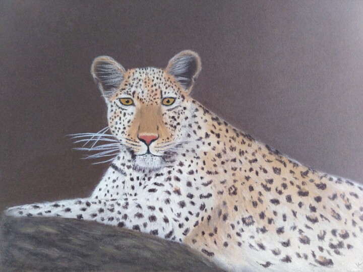 Tekening,  11,8x15,8 in 