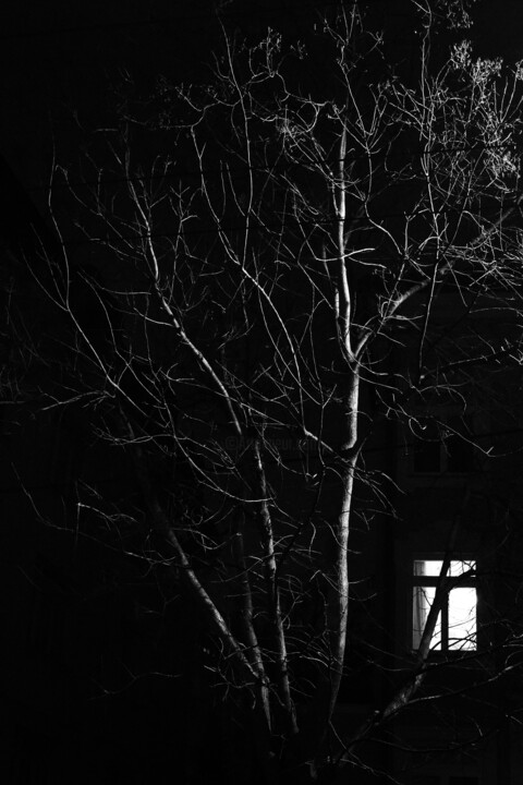 street composition XLII Fotoğraf