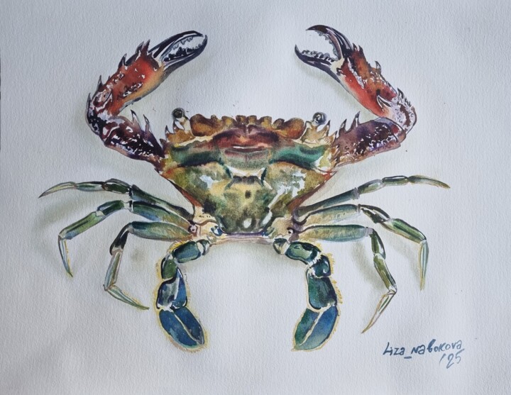 绘画,  13x16.5 in 