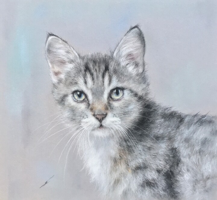 Grey 图画, 9.8x10.6 in