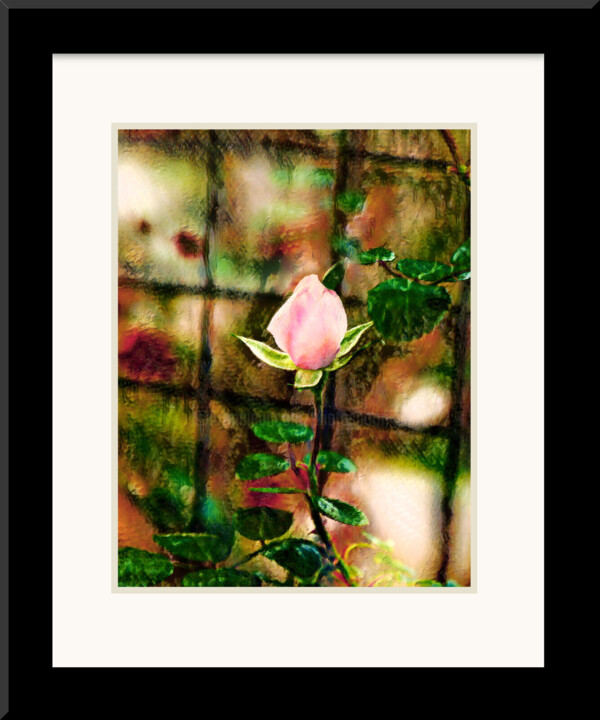 Work presented framed