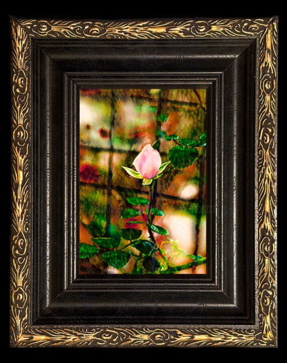 Work presented framed
