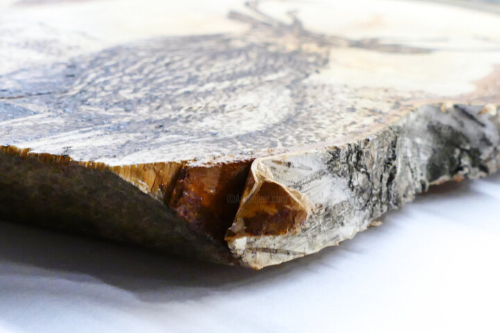 Surface ou texture de l'œuvre