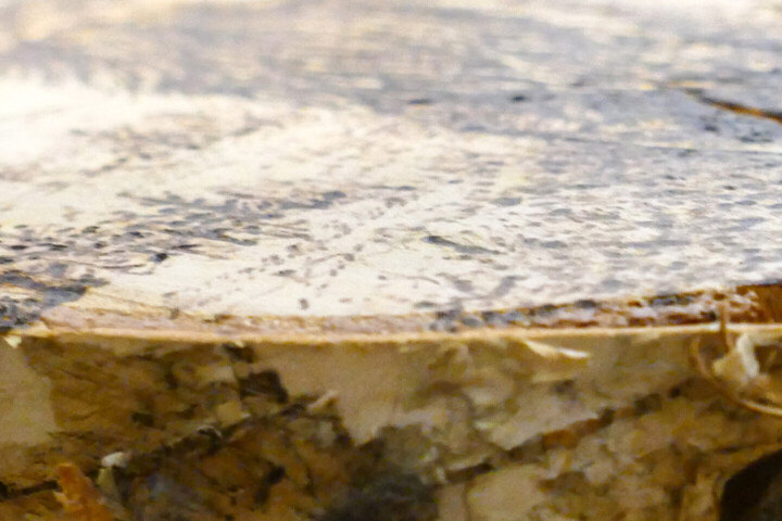 Surface ou texture de l'œuvre