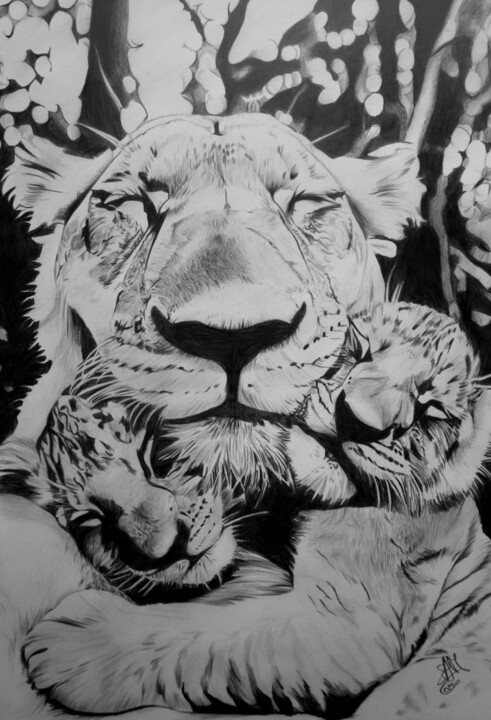 Dessin lionne et lionceaux au crayon 图画, 16.5x11.8 in