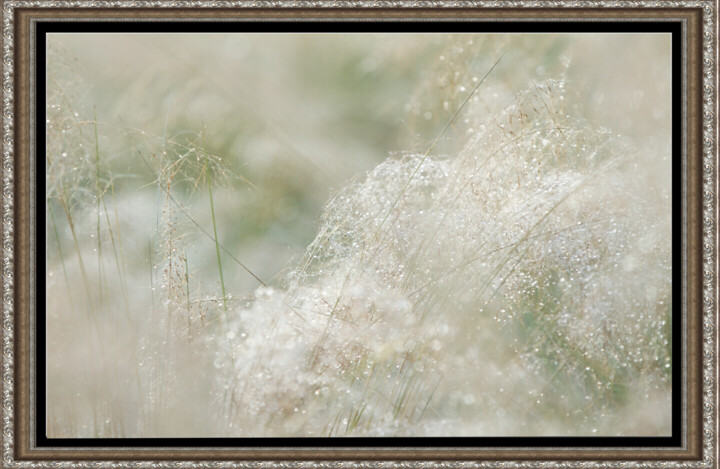 Work presented framed