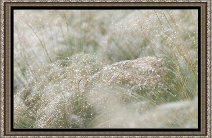Work presented framed