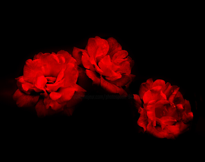 Photography titled "Three Red" by Photospoon, Original Artwork, Digital Photography